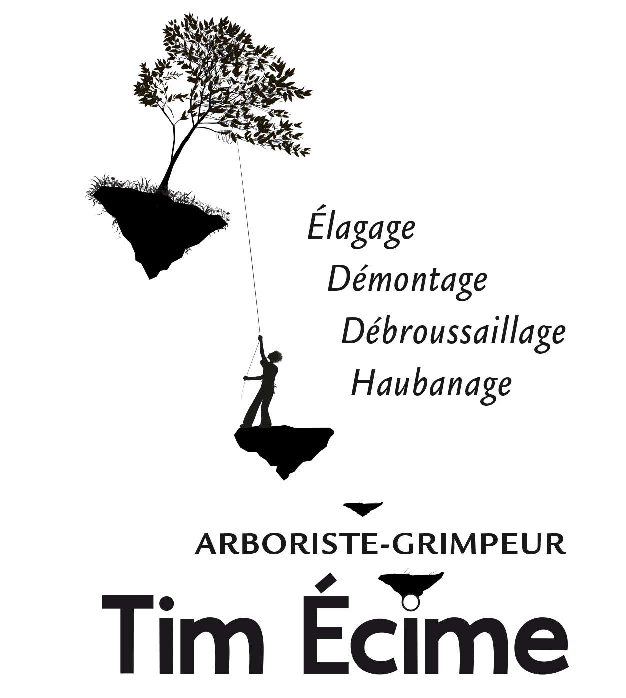 logo timecime noir
