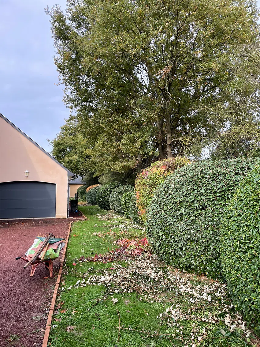 taille dune haie en mayenne